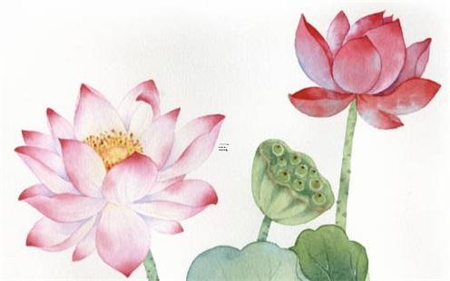 八字不合結婚夠越過越差 八字不太合結婚會怎樣 八字不合結婚夠越過越差 八字不太合結婚會怎樣