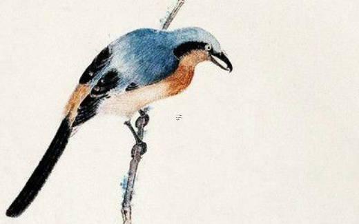 八字砂中金、路傍土、劍 路旁土沙中金