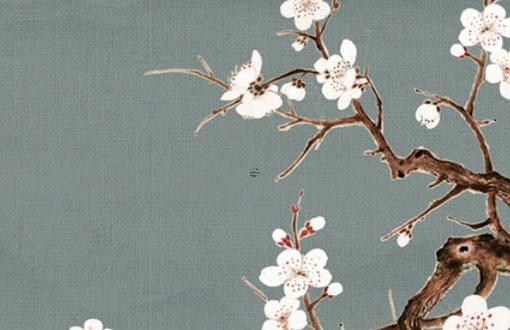 達摩祖師年月逢識論 年月逢識論怎么看 達摩祖師年月逢識論 年月逢識論怎么看