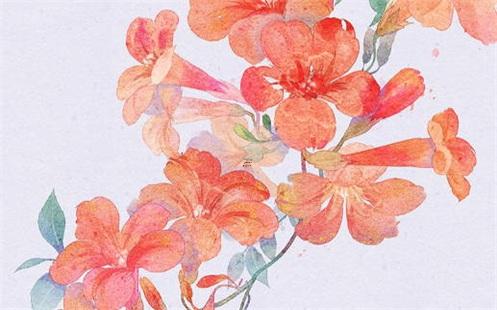 姐弟戀差六歲的明星 專家解讀姐弟戀差6歲 姐弟戀差六歲的明星 專家解讀姐弟戀差6歲