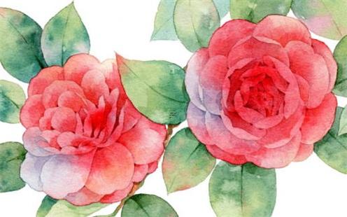 結婚頭一天下雪是什么兆頭 結婚頭一天下雨是什么兆頭 結婚頭一天下雪是什么兆頭 結婚頭一天下雨是什么兆頭