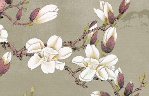 算命命帶金星的意思 八字帶金星什么意思 算命命帶金星的意思 八字帶金星什么意思