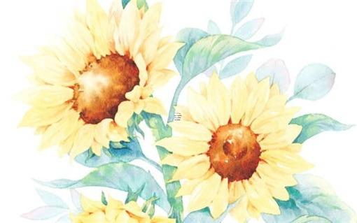 有生肖相合但是生辰八字不合 屬相合生辰八字不合的人可以結婚嗎