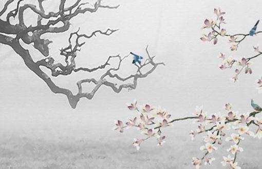 如何根據(jù)出生年月算出生辰八字 根據(jù)出生年月算生日 如何根據(jù)出生年月算出生辰八字 根據(jù)出生年月算生日