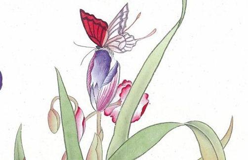 屬龍的男孩子最配屬相,屬龍的男孩配什么生肖好 屬龍的男孩子最配屬相,屬龍的男孩配什么生肖好