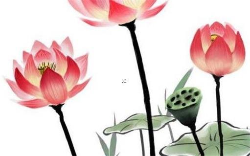 適合發(fā)朋友圈努力鼓勵(lì)的短句 適合發(fā)朋友圈的美食短句 適合發(fā)朋友圈努力鼓勵(lì)的短句 適合發(fā)朋友圈的美食短句