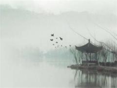 56年有屬猴的嗎 屬猴56年的今年多大