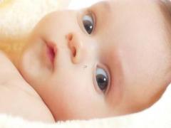 起名公司名稱 吉祥如意好名大全