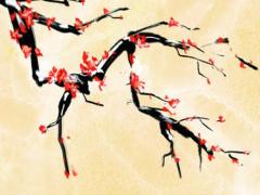 外八字怎么矯正 外八字腳怎么矯正