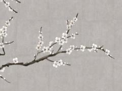 八字日元身旺是什么意思 八字日元身強