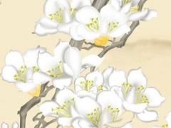 易經(jīng)第二十二卦什么意思 易經(jīng)22卦詳解白話文