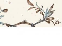 1987年屬兔女人的情感,1987年屬兔女人一生婚姻