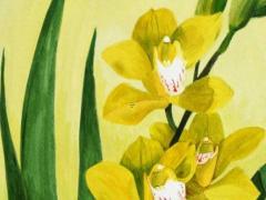 老伴去世后老人很快離世 老伴突然離世