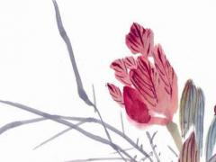 屬虎幸運顏色和數字 屬虎幸運顏色和數字1998