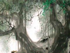 2000年屬龍生肖運氣 2000年屬龍今年運氣