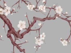 2023年屬蛇桃花劫,2023年屬蛇人