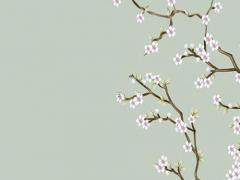 屬龍找對象最佳年齡,屬龍的找多大的對象最好