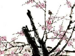 寓意興旺發達的公司名字 寓意發財的公司名字