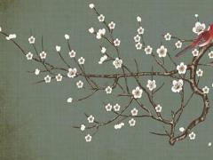 手機號吉兇號碼查詢免費 手機號吉兇最準確免費