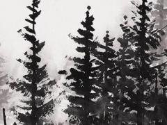 93屬雞和94屬狗能婚配嗎,93屬雞跟94屬狗的能結婚嗎