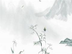 71年屬豬女是什么性格,71年豬女的性格