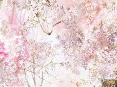 八字中沐浴代表什么意思啊 八字里面沐浴是什么意思