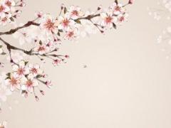 面相看夫妻關系 面相看夫妻相