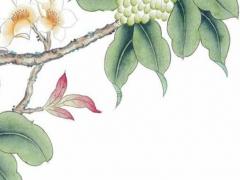 1987年屬兔的人未來十年,1987年屬兔人未來十年2023運(yùn)勢