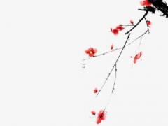 八字算命中的破婚是什么意思 破婚格是什么意思啊