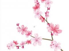 有點(diǎn)不舍得走的句子 不舍得的句子說(shuō)說(shuō)心情