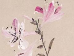 算命的說墜馬災的意思是啥 墜馬事件