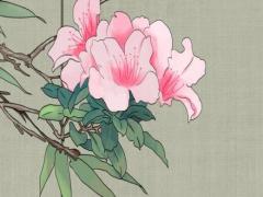 邵偉華批八字筒單技巧 邵偉華八字測算