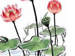 女屬猴與什么屬相最好 屬猴女和什么屬相最合適