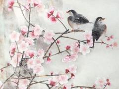 一般家里養(yǎng)幾只龜最好花斑龜 一般家里養(yǎng)幾只龜吉利