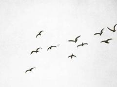 命理八字相生相克表 八字相克是什么意思