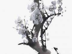 男生眼中的雙子座女生 雙子女標準長相圖