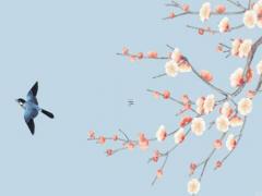 1996年屬鼠最佳婚配年齡,1996鼠年最佳婚配是什么屬相