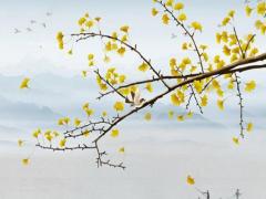 算生辰八字是不是真的 算生辰八字到底準(zhǔn)不準(zhǔn)