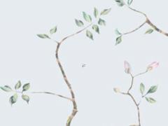 唐秀珍的八字解密及五行 唐秀英簡歷