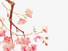 名字免費測試姻緣 輸入姓名查一生婚姻