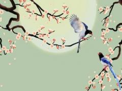 男生會輕易說我養(yǎng)你嗎 男生聽到女生說我養(yǎng)你