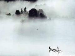 屬豬女戴什么生肖項(xiàng)鏈,屬豬的女生戴什么屬相的黃金