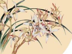 八字算命術壽元星怎么算 算命壽元是什么