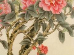 屬蛇人養(yǎng)什么盆栽,屬蛇人適合養(yǎng)什么植物旺財(cái)