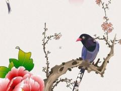 屬兔與屬豬的合作怎么樣,屬兔和屬豬的合不合做生意