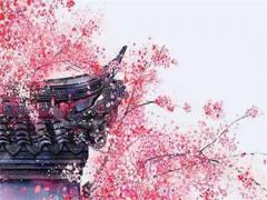 屬虎的人今年運勢 屬虎的人今年運勢如何事業婚姻況狀況才運如何呢