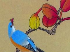 招財大牛貓老婆學歷 招財大牛貓 老婆