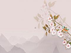 屬兔女性的最佳婚配,屬兔女的最佳婚配屬相是什么