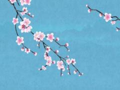 一分鐘讀懂四柱八字 四柱八字詳解