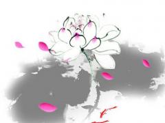 八字看女命婚姻邃若水 八字中女命看婚姻